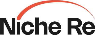 NicheRe-Logo